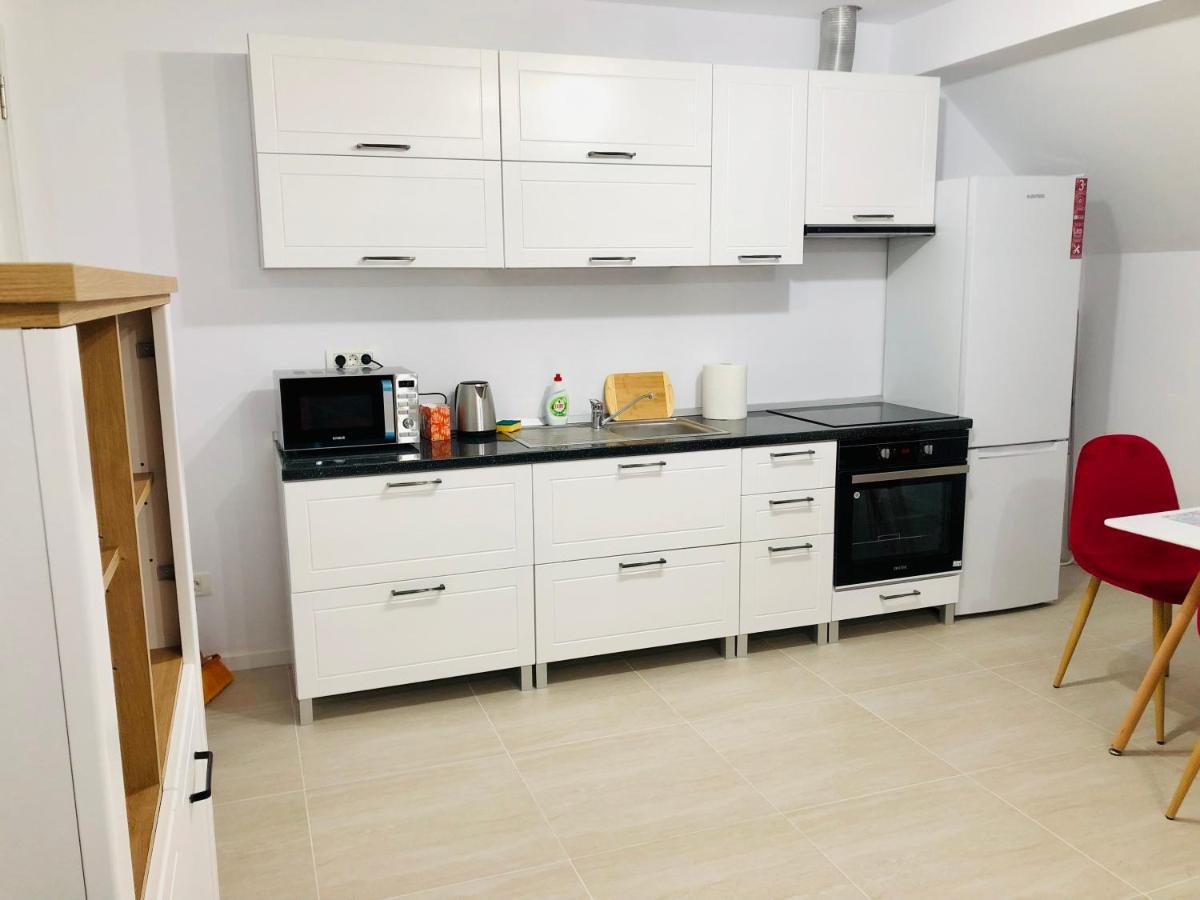 New And Modern Apartments In Villa, Near City Center M36 Temesvár Kültér fotó